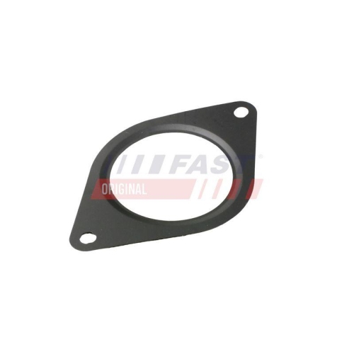 Dichtung Abgasrohr Fast FT84828 f&uuml;r Citro&euml;n Fiat
