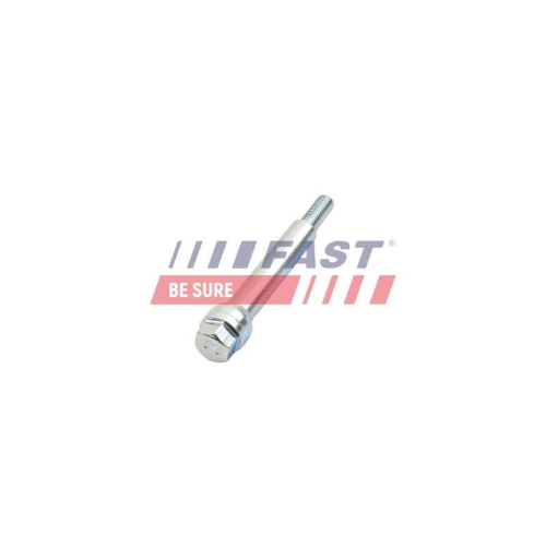 Schraube Abgaskr&uuml;mmer Fast FT84538 f&uuml;r Citro&euml;n Fiat Iveco