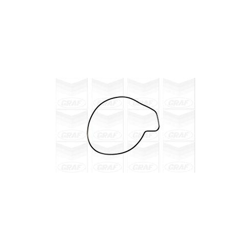 Wasserpumpe Motork&uuml;hlung Graf PA1016 f&uuml;r Mitsubishi