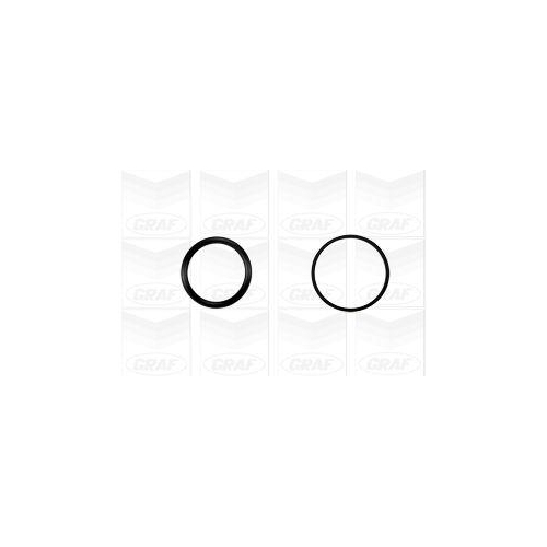 Wasserpumpe Motorkühlung Graf PA1045 für Citroën Fiat Lancia Peugeot