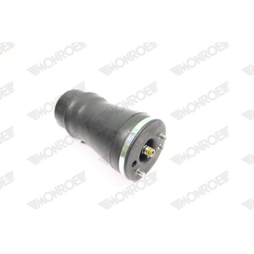 Air Spring Suspension Monroe ASP012 for Bmw