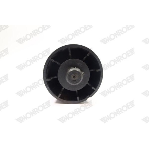 Air Spring Suspension Monroe ASP013 for Bmw