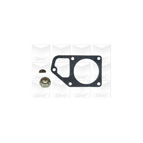 Wasserpumpe Motork&uuml;hlung Graf PA189 f&uuml;r Ford Peugeot