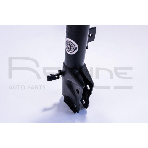 Stoßdämpfer Red-line 39DG003 für Chrysler Dodge Vorderachse Links