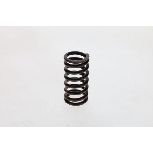 Feder Bosch 2414619011 für Berliet Daf Fiat International Harv. Iveco Lancia Man