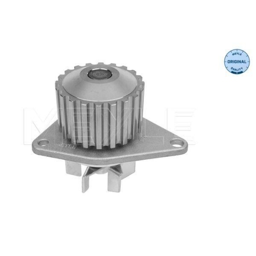 Wasserpumpe Motork&uuml;hlung Meyle 11130120723 Meyle-original: True To Oe. f&uuml;r Rover