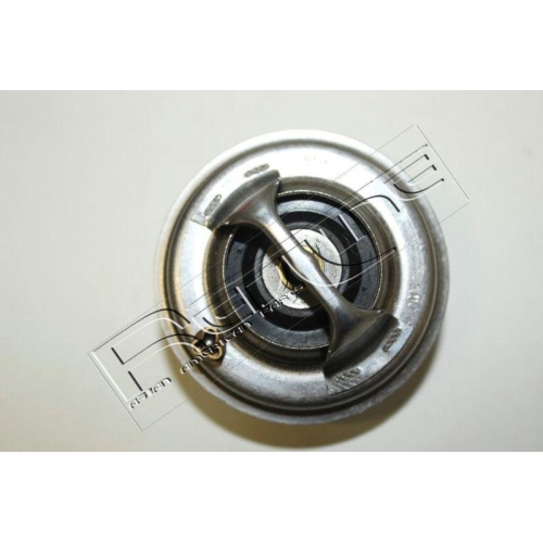 Thermostat K&uuml;hlmittel Red-line 55TA002 f&uuml;r Tata