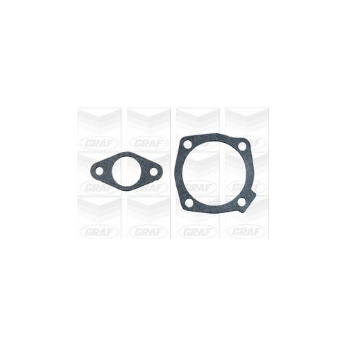 Wasserpumpe Motork&uuml;hlung Graf PA298 f&uuml;r Fiat Lancia