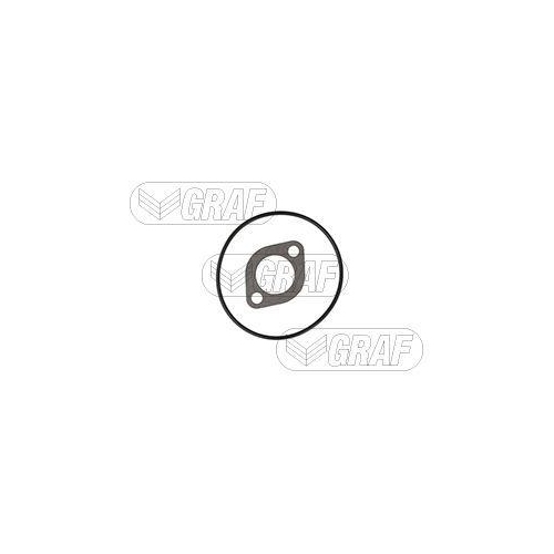 Wasserpumpe Motork&uuml;hlung Graf PA317 f&uuml;r Iveco