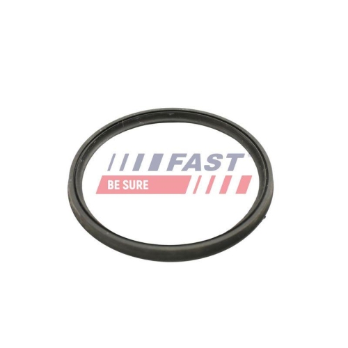 Dichtring Ladeluftschlauch Fast FT49922 f&uuml;r Mercedes Benz Mercedes Benz