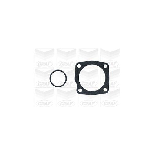 Wasserpumpe Motorkühlung Graf PA340 für Fiat