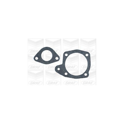 Wasserpumpe Motork&uuml;hlung Graf PA372 f&uuml;r Fiat