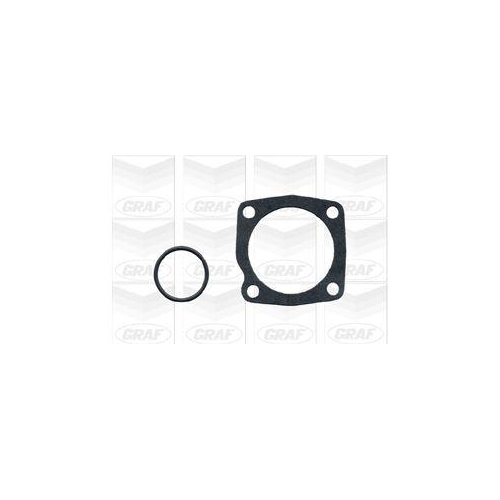 Wasserpumpe Motork&uuml;hlung Graf PA378A f&uuml;r Fiat