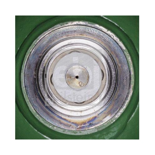 Druckspeicher Federung/d&auml;mpfung Febi Bilstein 22501 f&uuml;r Citro&euml;n Hinterachse