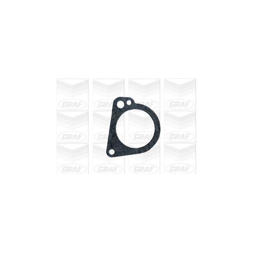 Wasserpumpe Motork&uuml;hlung Graf PA401 f&uuml;r Ford