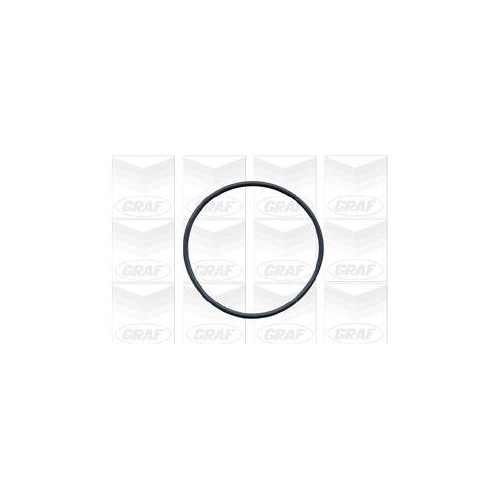 Wasserpumpe Motork&uuml;hlung Graf PA422 f&uuml;r Audi Volvo VW Eastern Coach Works