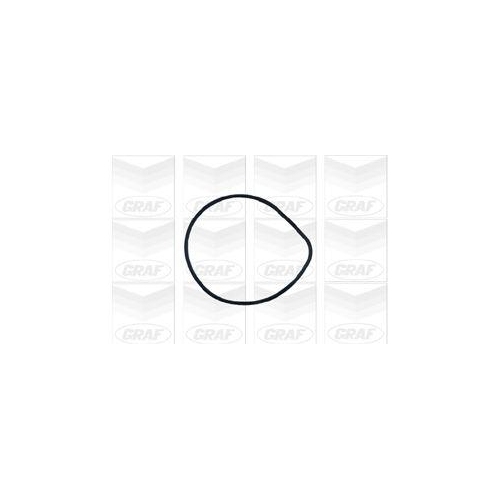 Wasserpumpe Motork&uuml;hlung Graf PA427 f&uuml;r MG Rover Lotus Land Rover