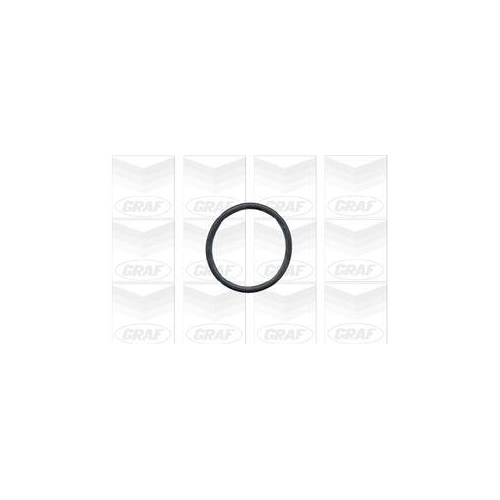 Wasserpumpe Motork&uuml;hlung Graf PA431 f&uuml;r Bmw