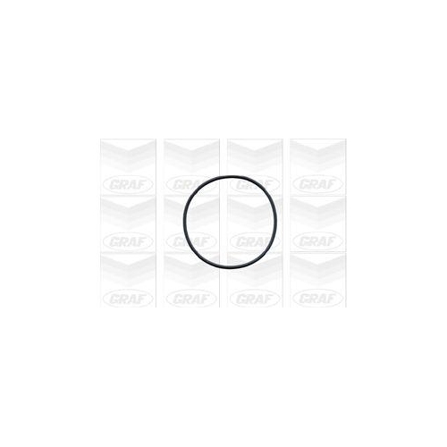 Wasserpumpe Motork&uuml;hlung Graf PA491 f&uuml;r Citro&euml;n Nissan Peugeot Rover