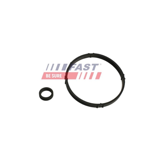 Dichtring &Ouml;lk&uuml;hler (schmierung) Fast FT48952 f&uuml;r Citro&euml;n Motorblock