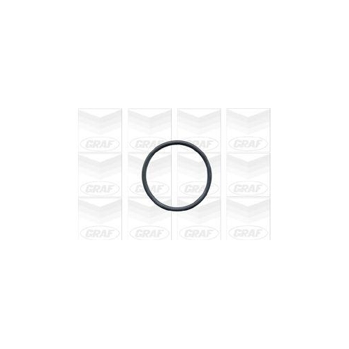 Wasserpumpe Motorkühlung Graf PA502A für Bmw Opel Vauxhall Land Rover