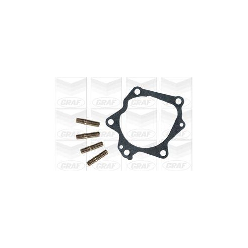 Wasserpumpe Motork&uuml;hlung Graf PA539 f&uuml;r Nissan