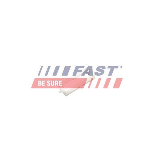 Clip Zier /schutzleiste Fast FT96603 für Citroën Fiat