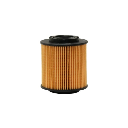 &Ouml;lfilter Hella 8ZO 366 100-701 f&uuml;r Bmw Bmw (brilliance)