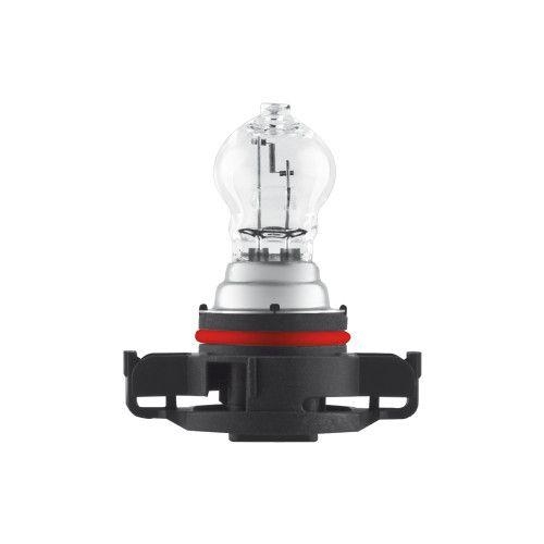 Gl&uuml;hlampe Blinkleuchte Ams-osram 2504 Original f&uuml;r