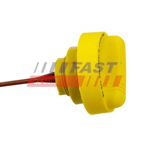 Ölpeilstab Fast FT80309 für Renault