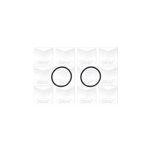 Wasserpumpe Motork&uuml;hlung Graf PA579 f&uuml;r Audi Ford Seat Skoda VW