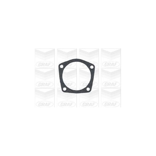 Wasserpumpe Motorkühlung Graf PA596 für Fiat