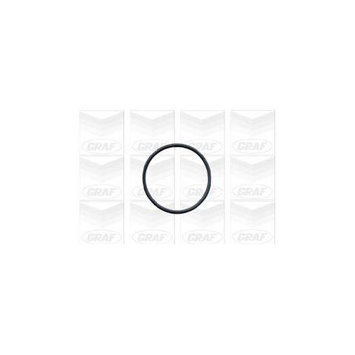 Wasserpumpe Motork&uuml;hlung Graf PA603 f&uuml;r Audi Seat Skoda VW