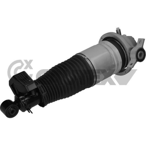 Luftfederbein Cautex 752020 für Audi Porsche VW Vag Hinterachse Rechts