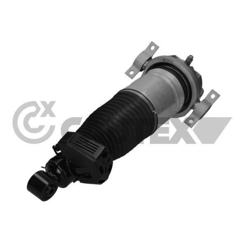 Luftfederbein Cautex 752023 für Audi Porsche VW Vag Hinterachse Links