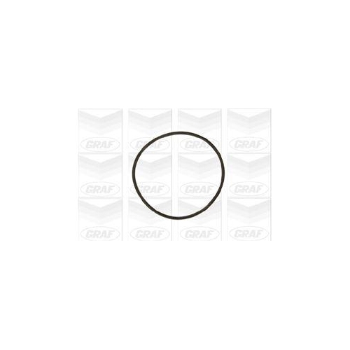 Wasserpumpe Motork&uuml;hlung Graf PA609 f&uuml;r Audi Seat Skoda VW