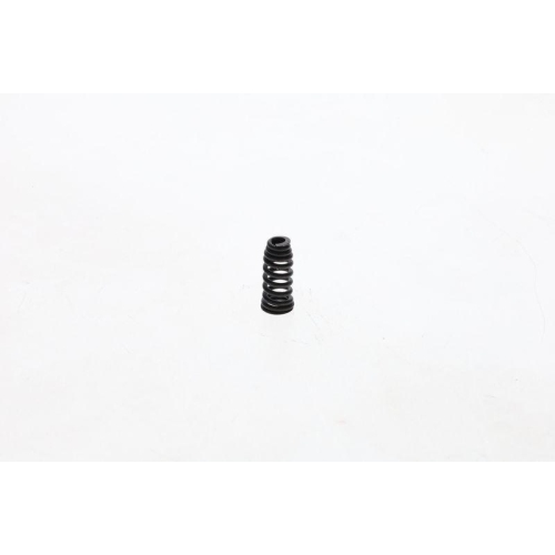 Feder Bosch 1424641000 für Berliet Daf Fiat Ford International Harv. Renault VW