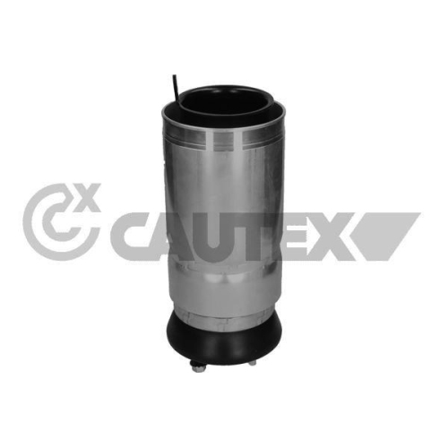 Luftfeder Fahrwerk Cautex 752867 f&uuml;r Land Rover Vorderachse