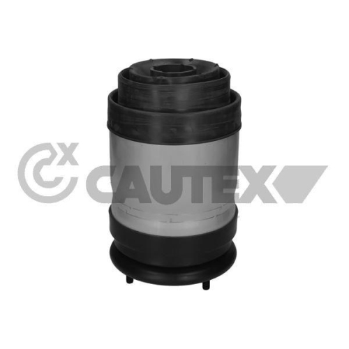 Luftfeder Fahrwerk Cautex 752888 für Land Rover Hinterachse