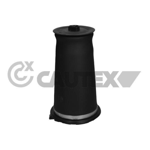 Luftfeder Fahrwerk Cautex 753484 für Land Rover Hinterachse