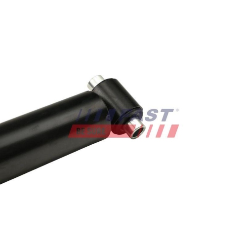 Sto&szlig;d&auml;mpfer Fast FT11078 f&uuml;r Ford Hinterachse Links Hinterachse Rechts
