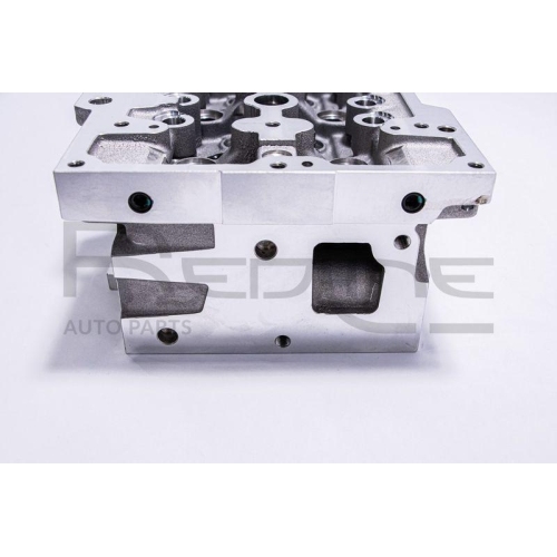 Zylinderkopf Red-line 21SZ011 für Fiat Opel Suzuki Vauxhall