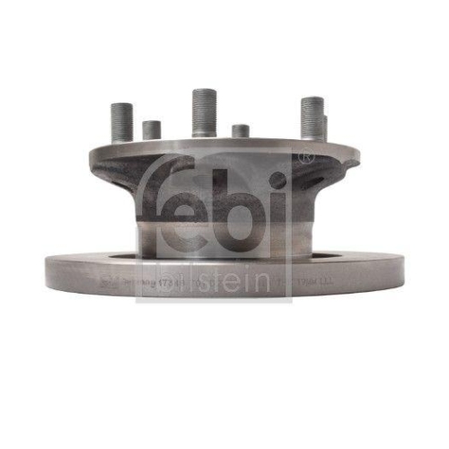 Bremsscheibe Febi Bilstein 17348 f&uuml;r Iveco Vorderachse