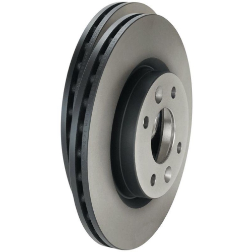 Bremsscheibe Trw DF2586 f&uuml;r Dacia Lada Nissan Renault Vorderachse