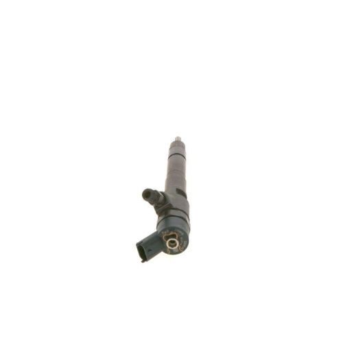 Einspritzd&uuml;se Bosch 0445110248 f&uuml;r Citro&euml;n Iveco Mitsubishi Peugeot Hyundai