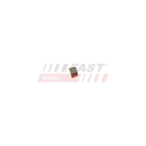 Ventilkeil Fast FT43801 f&uuml;r Citro&euml;n Fiat Iveco