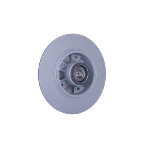 Bremsscheibe Hella 8DD 355 123-311 Pro f&uuml;r Renault Samsung Hinterachse