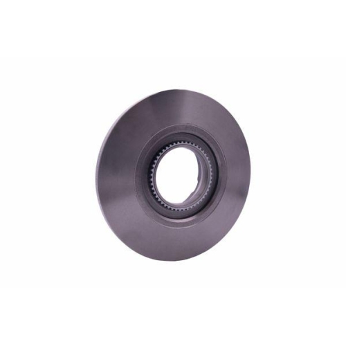 Bremsscheibe Hella 8DD 355 120-181 f&uuml;r Ford Hinterachse