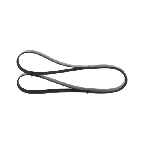 Keilrippenriemen Bosch 1987946258 f&uuml;r Rover Toyota Lexus Land Rover