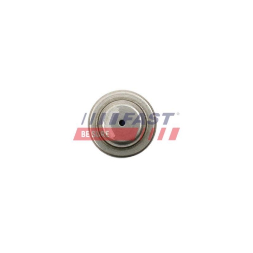 F&uuml;hrungslager Kupplung Fast FT62604 f&uuml;r Ford Mercedes Benz Mercedes Benz
